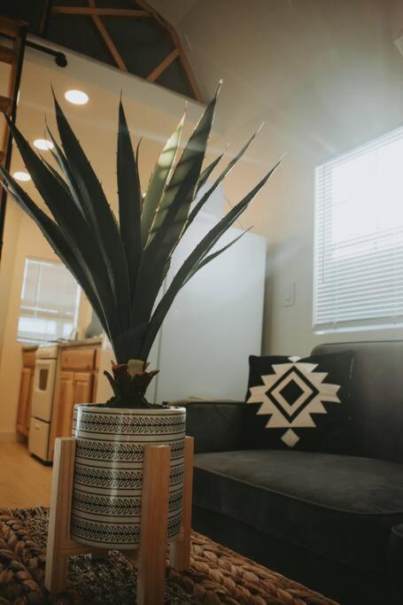 Agave Tiny House At Cactus Flower-Hot Tub-Pet Friendly-No Pet Fees! Albuquerque Dış mekan fotoğraf